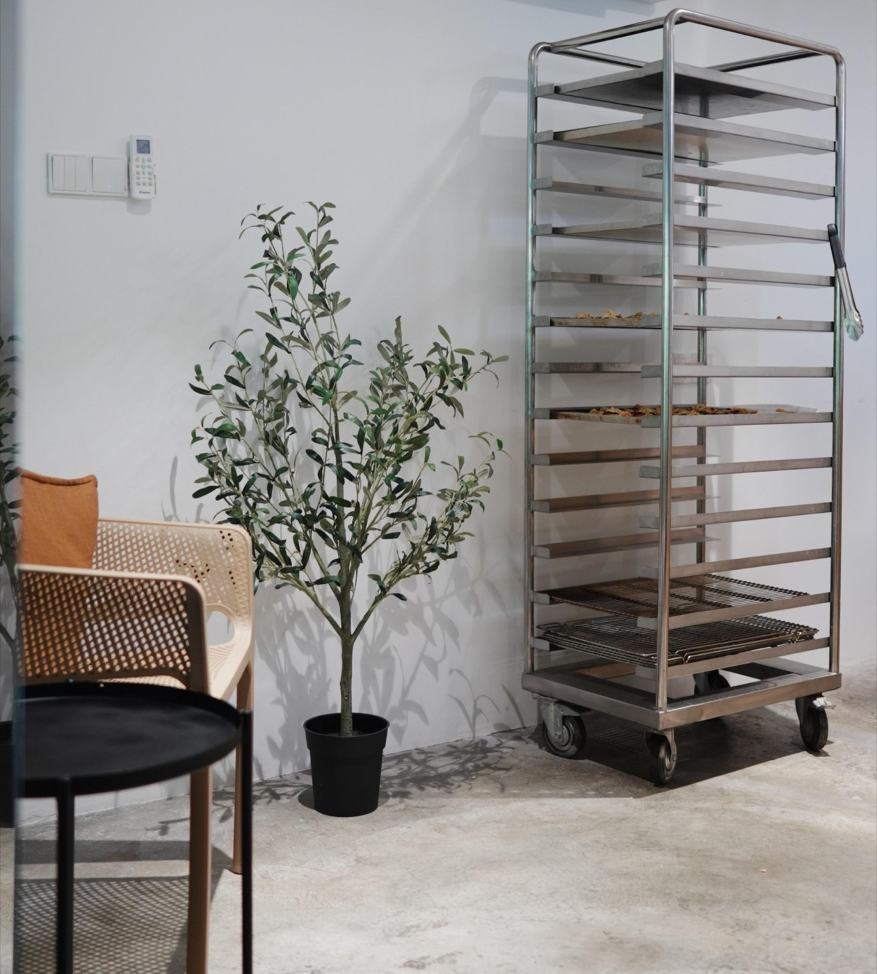 Bright, calm interior of LITO Bakery Cafe in Bangsar with an olive tree and bread racks