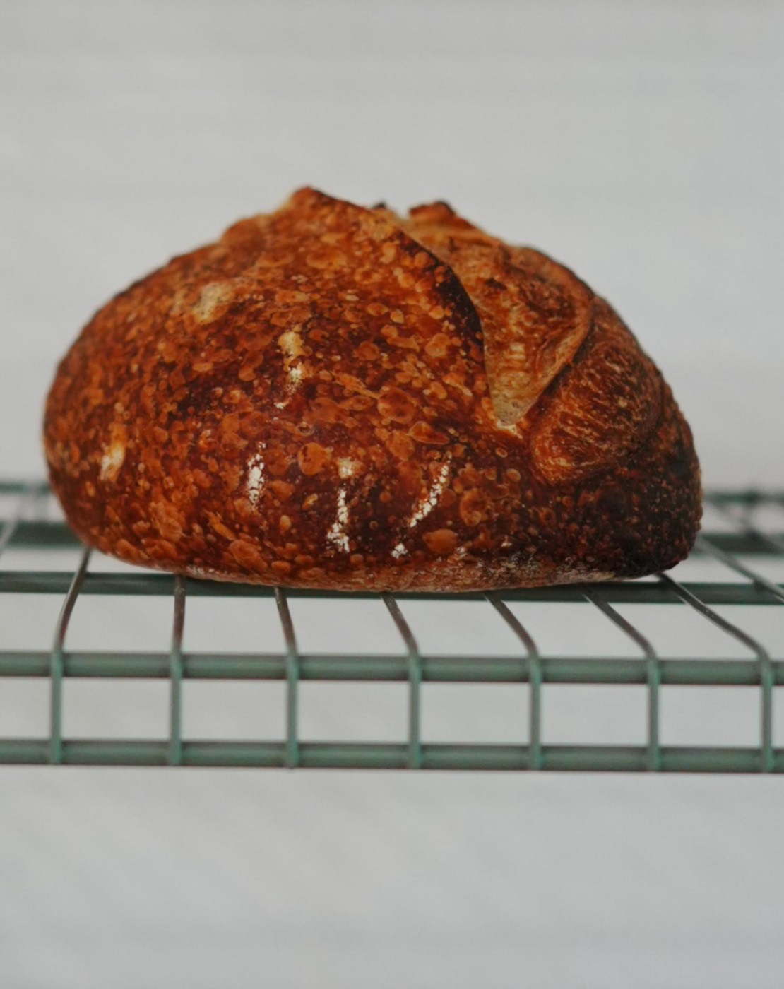 LITO plain sourdough loaf, dark crust, cooling on a rack in Bangsar
